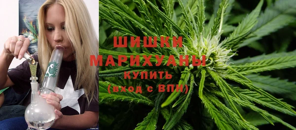 дживик Баксан