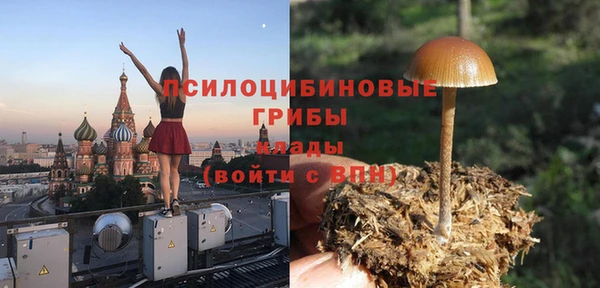 дживик Баксан