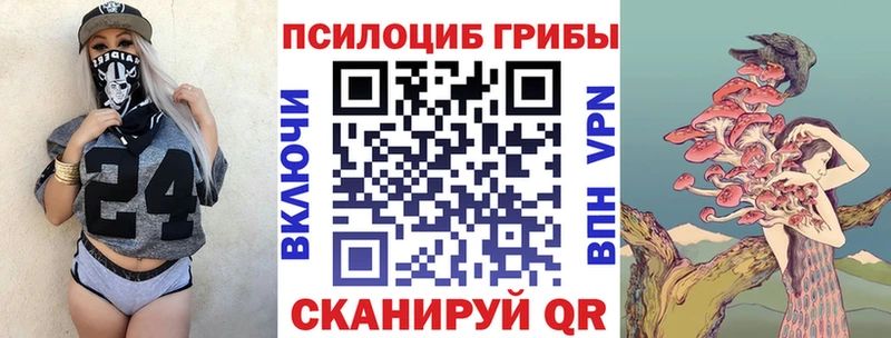 MEGA рабочий сайт  Беслан  Псилоцибиновые грибы мицелий 